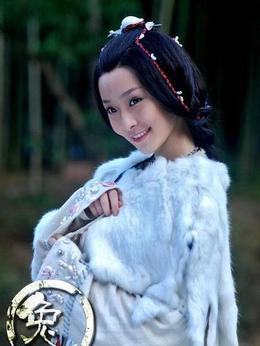 十二生肖传奇剧情介绍_纵横剧情网