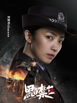 黑白禁区剧情介绍_纵横剧情网
