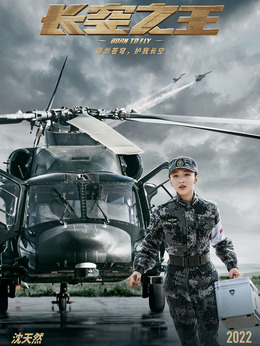 长空之王剧情介绍_纵横剧情网