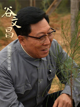 谷文昌剧情介绍_纵横剧情网