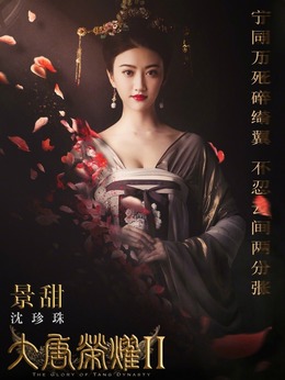大唐荣耀2剧情介绍_纵横剧情网