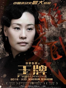 王牌剧情介绍_纵横剧情网