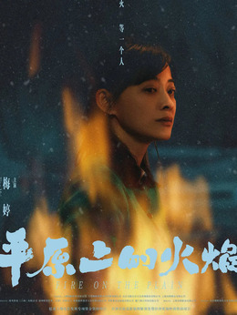 平原上的火焰剧情介绍_纵横剧情网