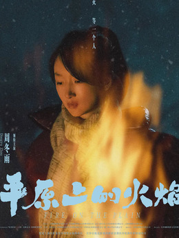 平原上的火焰剧情介绍_纵横剧情网