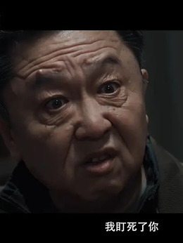 老江湖剧情介绍_纵横剧情网