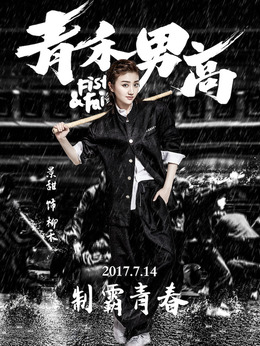 青禾男高剧情介绍_纵横剧情网