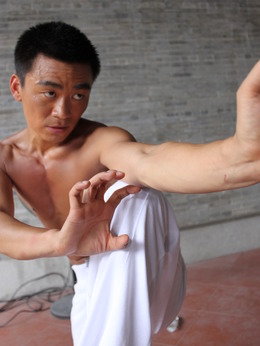蔡李佛拳剧情介绍_纵横剧情网