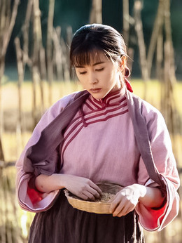 进京城剧情介绍_纵横剧情网