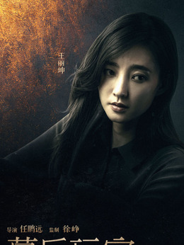 幕后玩家剧情介绍_纵横剧情网