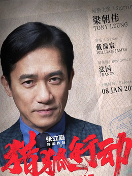 猎狐行动剧情介绍_纵横剧情网