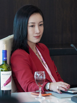 扫黑行动剧情介绍_纵横剧情网