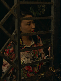 嘉年华剧情介绍_纵横剧情网