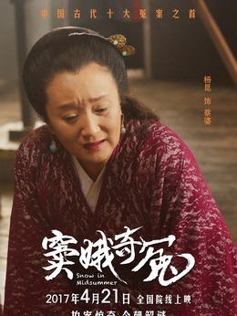 窦娥奇冤剧情介绍_纵横剧情网