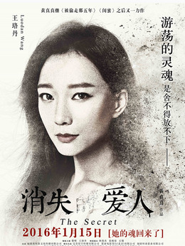 消失的爱人剧情介绍_纵横剧情网