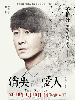 消失的爱人剧情介绍_纵横剧情网