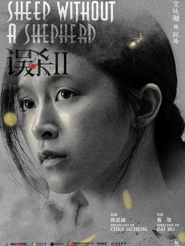 误杀2剧情介绍_纵横剧情网