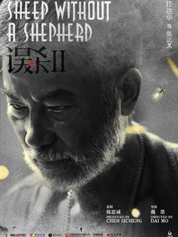 误杀2剧情介绍_纵横剧情网