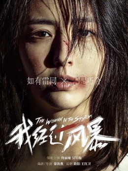 我经过风暴剧情介绍_纵横剧情网