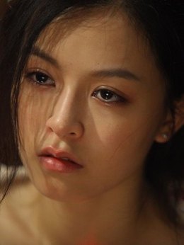 大追捕剧情介绍_纵横剧情网
