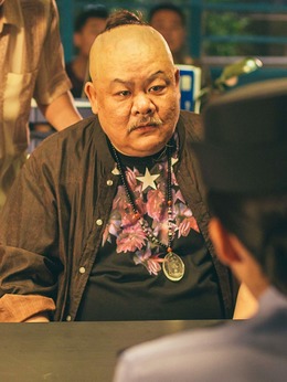 我的宠物是大象剧情介绍_纵横剧情网