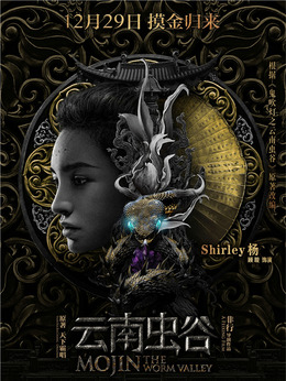 云南虫谷剧情介绍_纵横剧情网