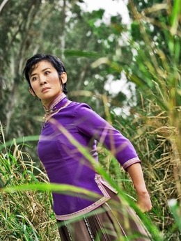家有喜事2009剧情介绍_纵横剧情网