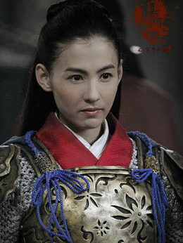 杨门女将之军令如山剧情介绍_纵横剧情网