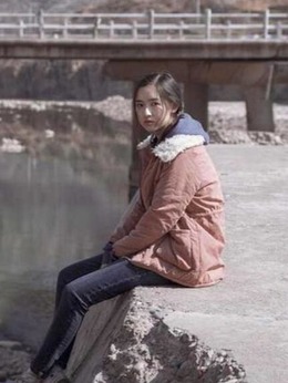 大象席地而坐剧情介绍_纵横剧情网