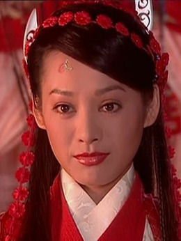 杨门女将之穆桂英挂帅剧情介绍_纵横剧情网
