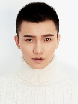 大匠春秋之西苑日落剧情介绍_纵横剧情网