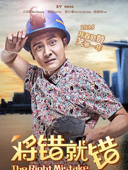 将错就错剧情介绍_纵横剧情网