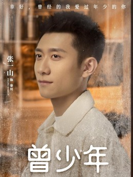 曾少年剧情介绍_纵横剧情网