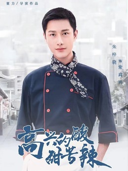 高兴的酸甜苦辣剧情介绍_纵横剧情网