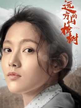 远方的山楂树剧情介绍_纵横剧情网