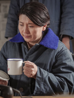 远方的山楂树剧情介绍_纵横剧情网