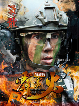 特种兵之霹雳火剧情介绍_纵横剧情网