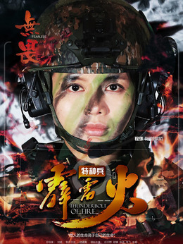 特种兵之霹雳火剧情介绍_纵横剧情网