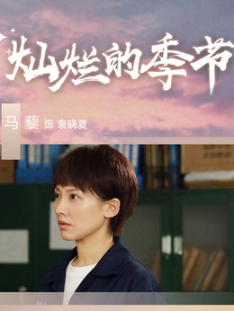 灿烂的季节剧情介绍_纵横剧情网