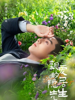 亲爱的隐居先生剧情介绍_纵横剧情网