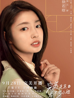 完美先生和差不多小姐剧情介绍_纵横剧情网