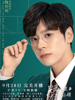 完美先生和差不多小姐剧情介绍_纵横剧情网