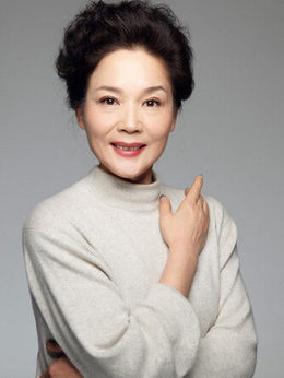 张灯结彩之美丽梦想剧情介绍_纵横剧情网