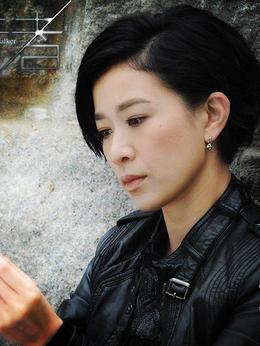 使徒行者剧情介绍_纵横剧情网