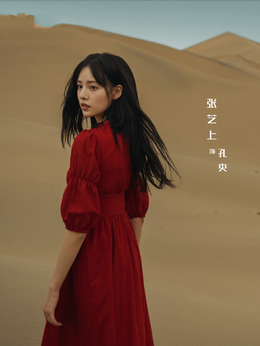 西出玉门剧情介绍_纵横剧情网