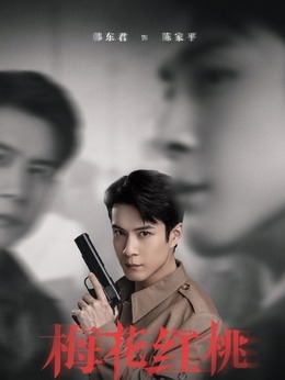 梅花红桃剧情介绍_纵横剧情网