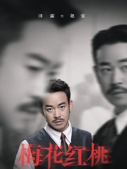 梅花红桃剧情介绍_纵横剧情网