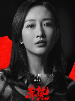 赤热剧情介绍_纵横剧情网
