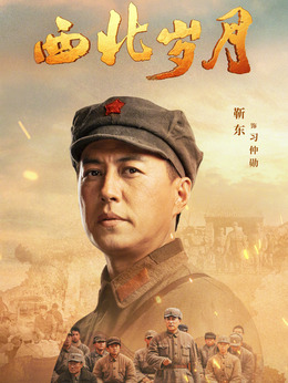 西北岁月剧情介绍_纵横剧情网