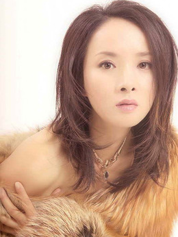 殷雪梅剧情介绍_纵横剧情网