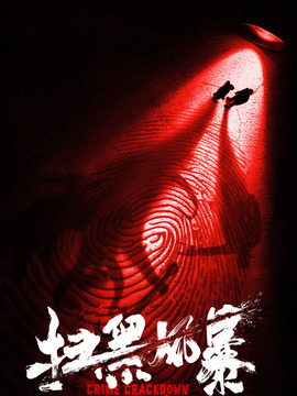 扫黑风暴剧情介绍_纵横剧情网